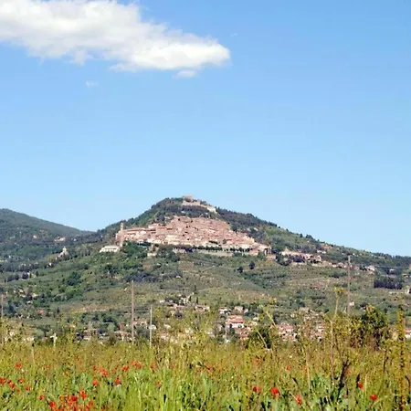 In Tuscany With Pool And Hill Views * 코르토나